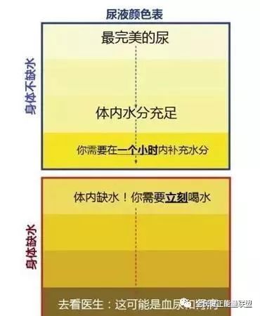 細胞和心臟一起拜托你：口渴時更要慢點喝水 健康 第6張