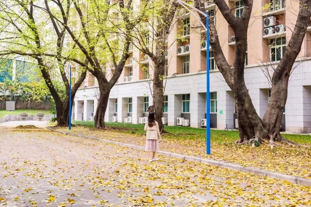 ���޵�һ���㶫10����У������޴�ѧ��̫�����ˣ�