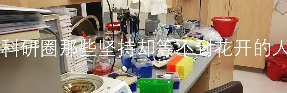 茅台院士候选人背后的西部人才困局 茅台院士候选人背后的西部人才困局