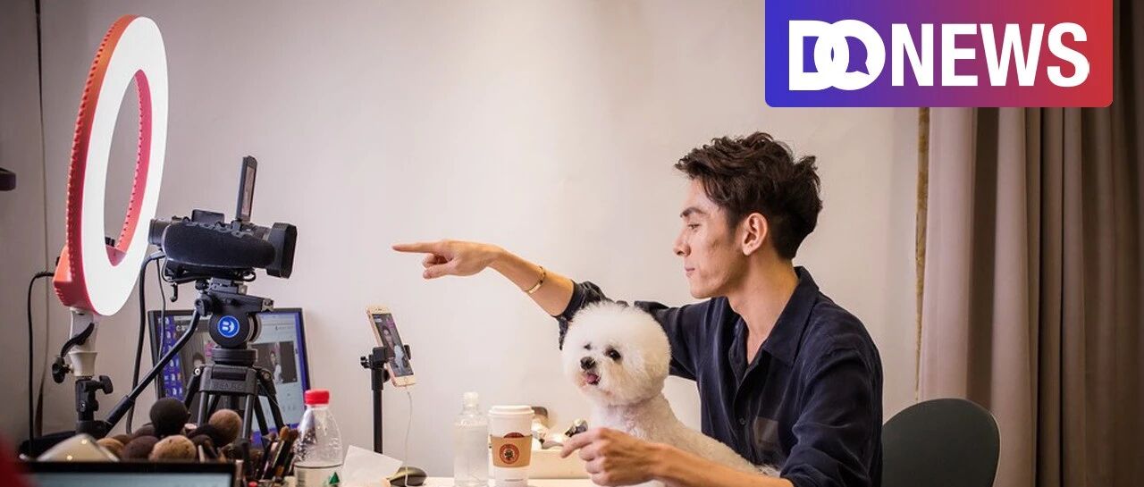 “郭老师”倒下后，“网红圈”大变天，躺赚稳赢的居然是猫和狗