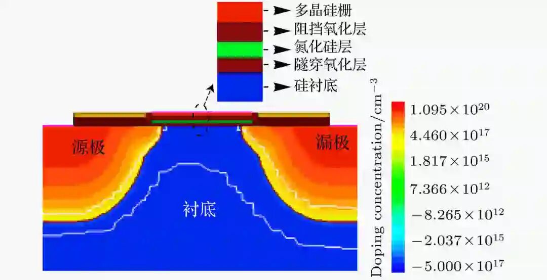 55 nm硅-氧化硅-氮化硅-氧化硅-硅闪存单元的 γ 射线和X射线电离总剂量效应研究
