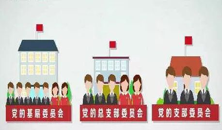 党支部、党小组、党委、党工委、党组……这些概念你都清楚吗？ - 政策理论 - 新湖南