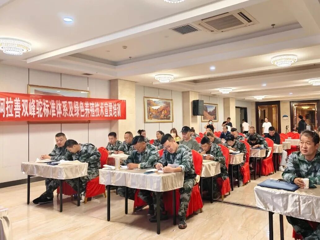 _阿拉善盟驼产业标准化建设成效展示_阿拉善盟驼产业标准化建设成效展示