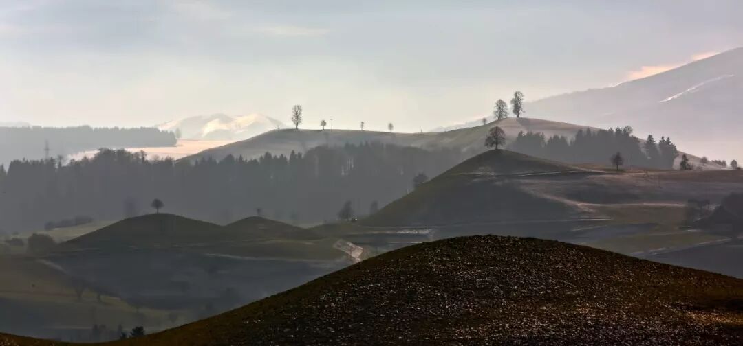 古训：如何向上，唯有放下