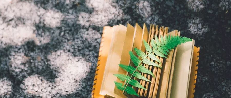 640?wx_fmt=jpeg&tp=webp&wxfrom=5&wx_lazy=1&wx_co=1