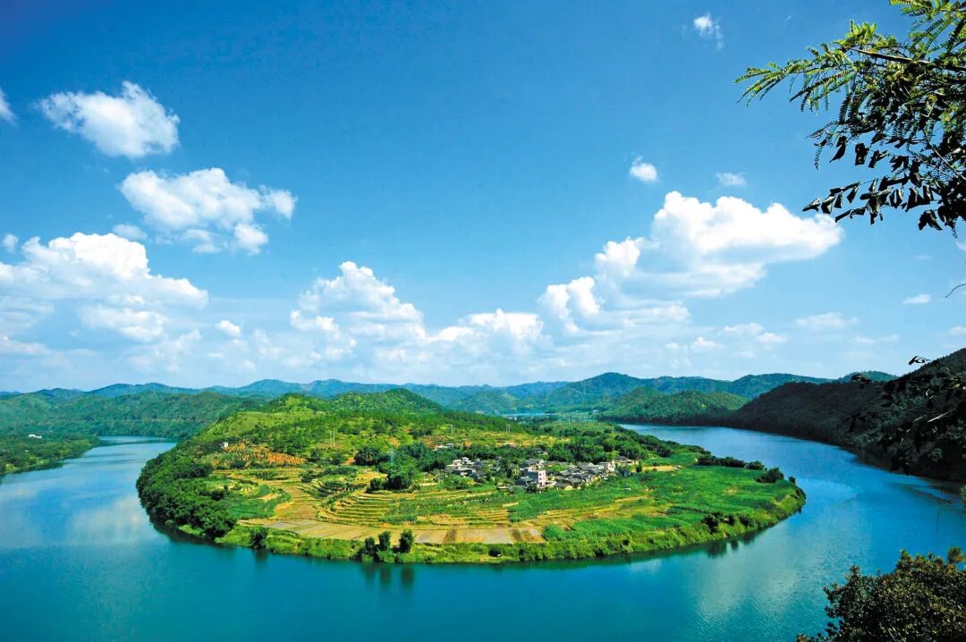 是封开贺江碧道画廊的一大特色,"九曲十八弯,处处是美景"▲图源 封开