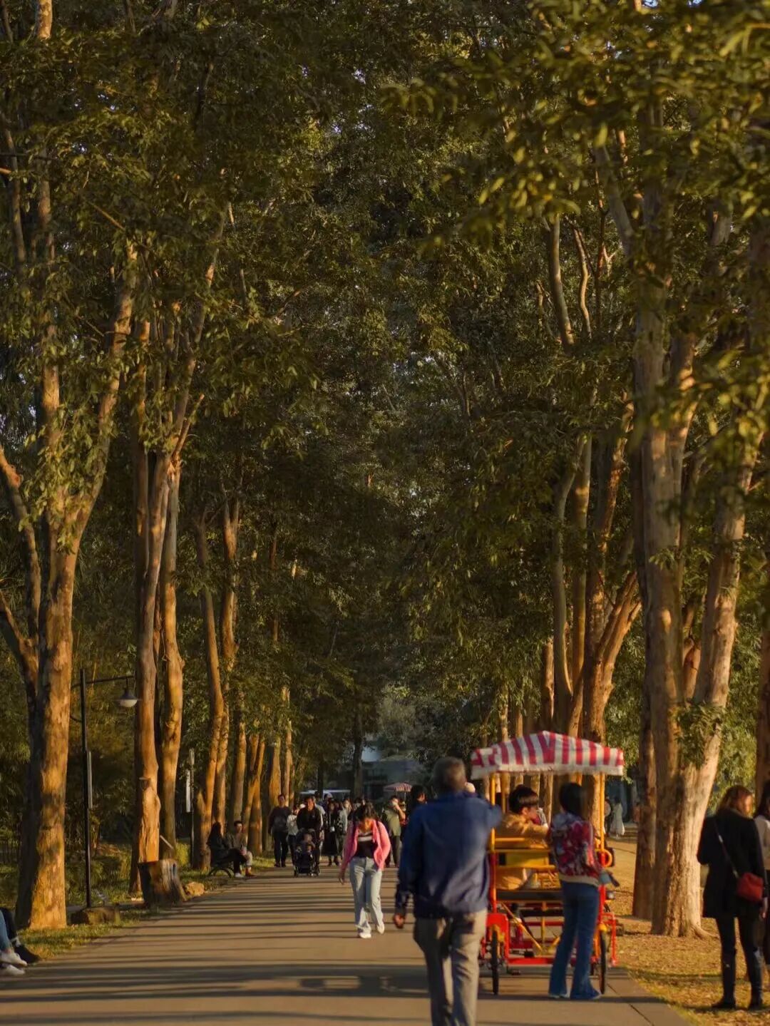 比厦门悠闲，美食不输扬州！初秋红叶漫天，谁不爱这座幸福感老城？