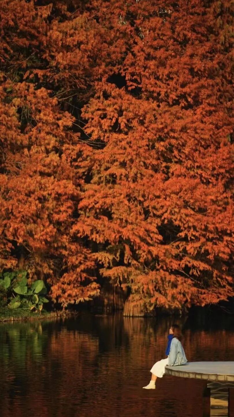 比厦门悠闲，美食不输扬州！初秋红叶漫天，谁不爱这座幸福感老城？