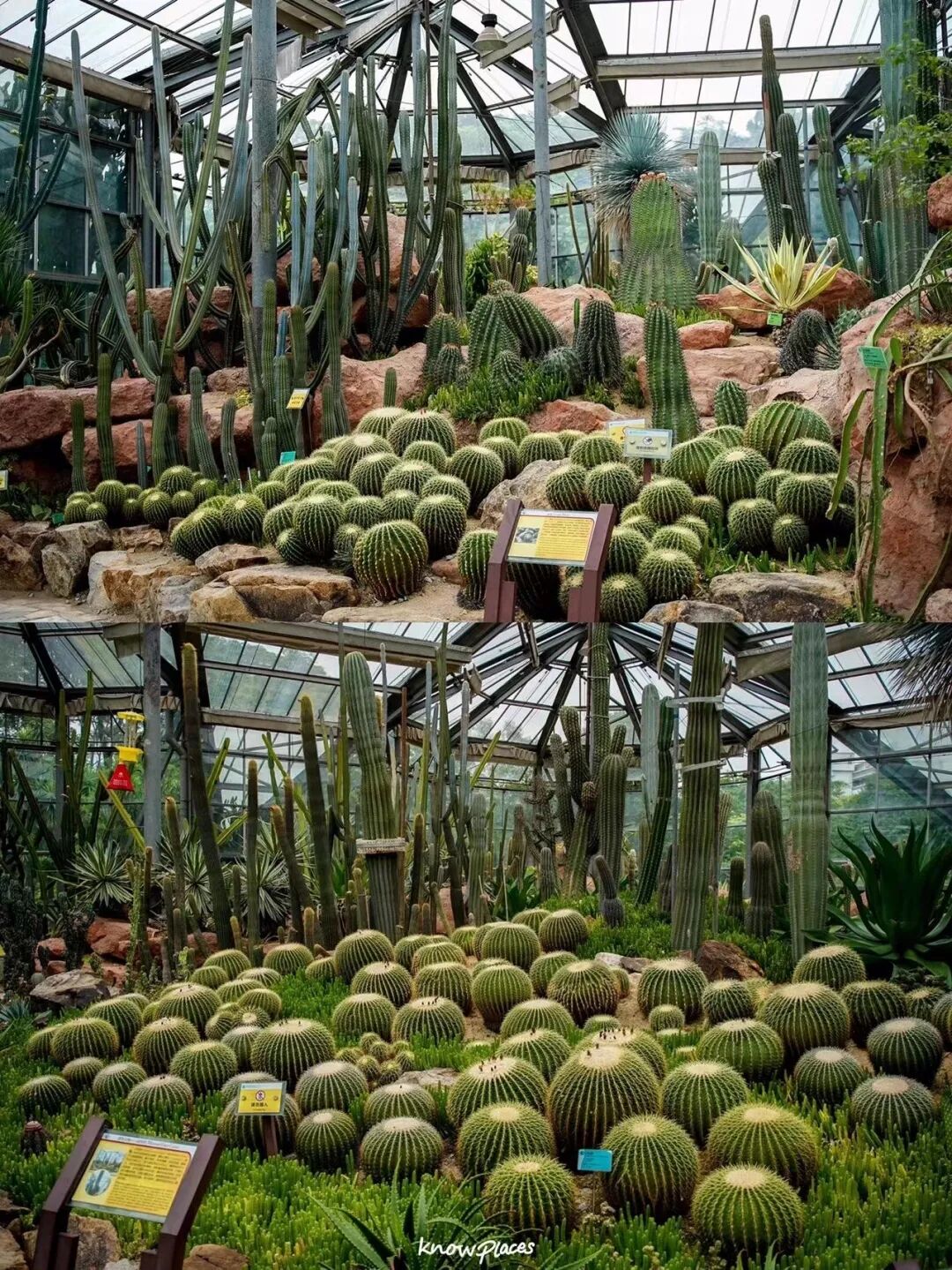 比厦门悠闲，美食不输扬州！初秋红叶漫天，谁不爱这座幸福感老城？