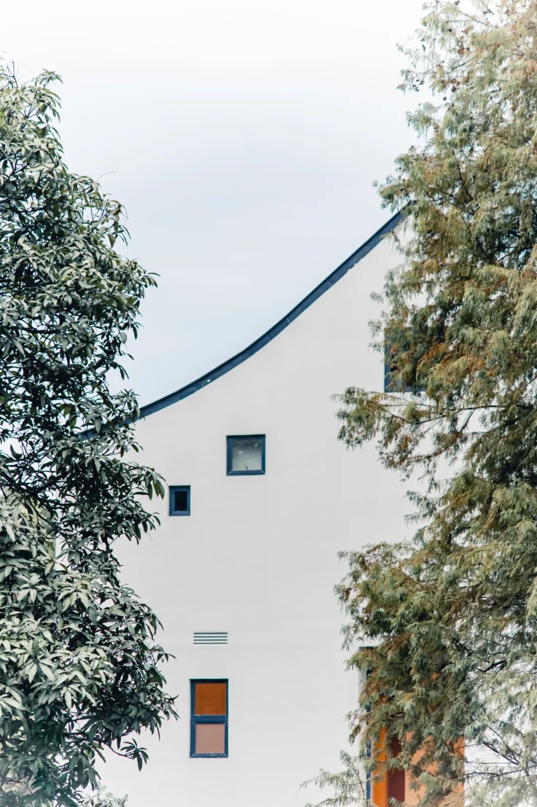 比厦门悠闲，美食不输扬州！初秋红叶漫天，谁不爱这座幸福感老城？