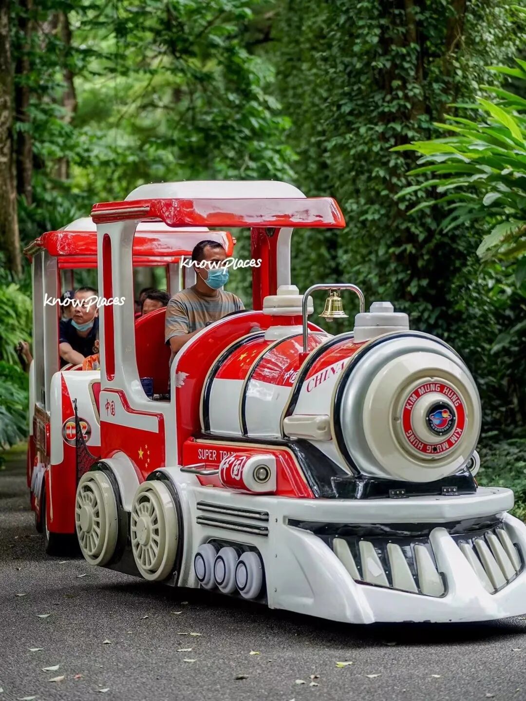 比厦门悠闲，美食不输扬州！初秋红叶漫天，谁不爱这座幸福感老城？