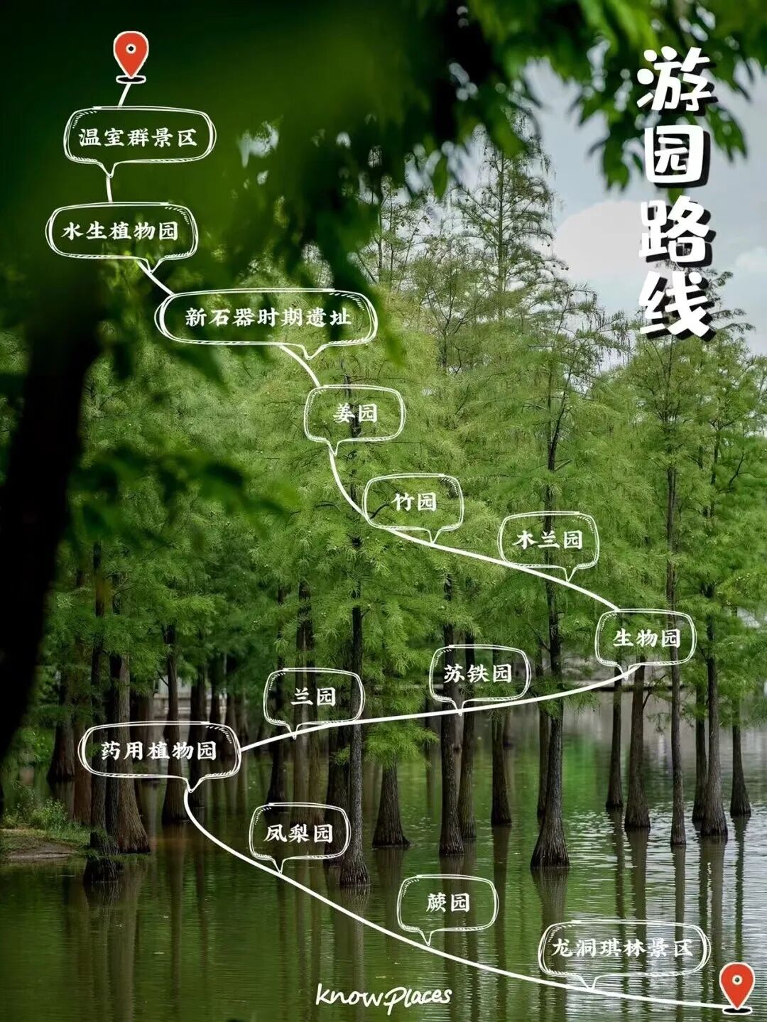 比厦门悠闲，美食不输扬州！初秋红叶漫天，谁不爱这座幸福感老城？