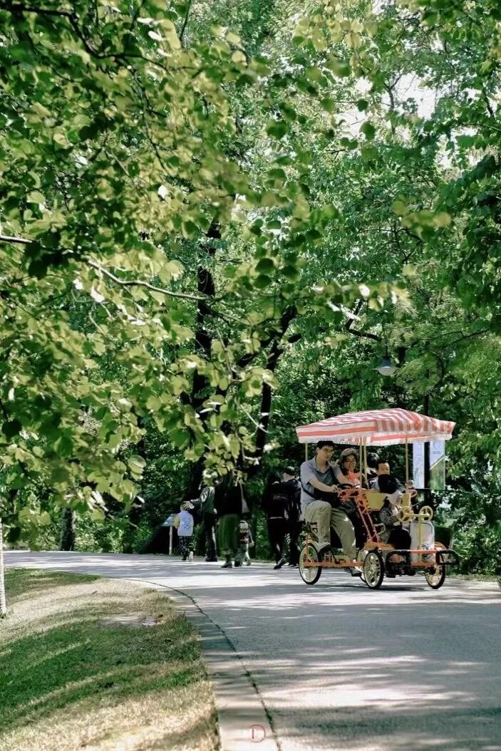 比厦门悠闲，美食不输扬州！初秋红叶漫天，谁不爱这座幸福感老城？