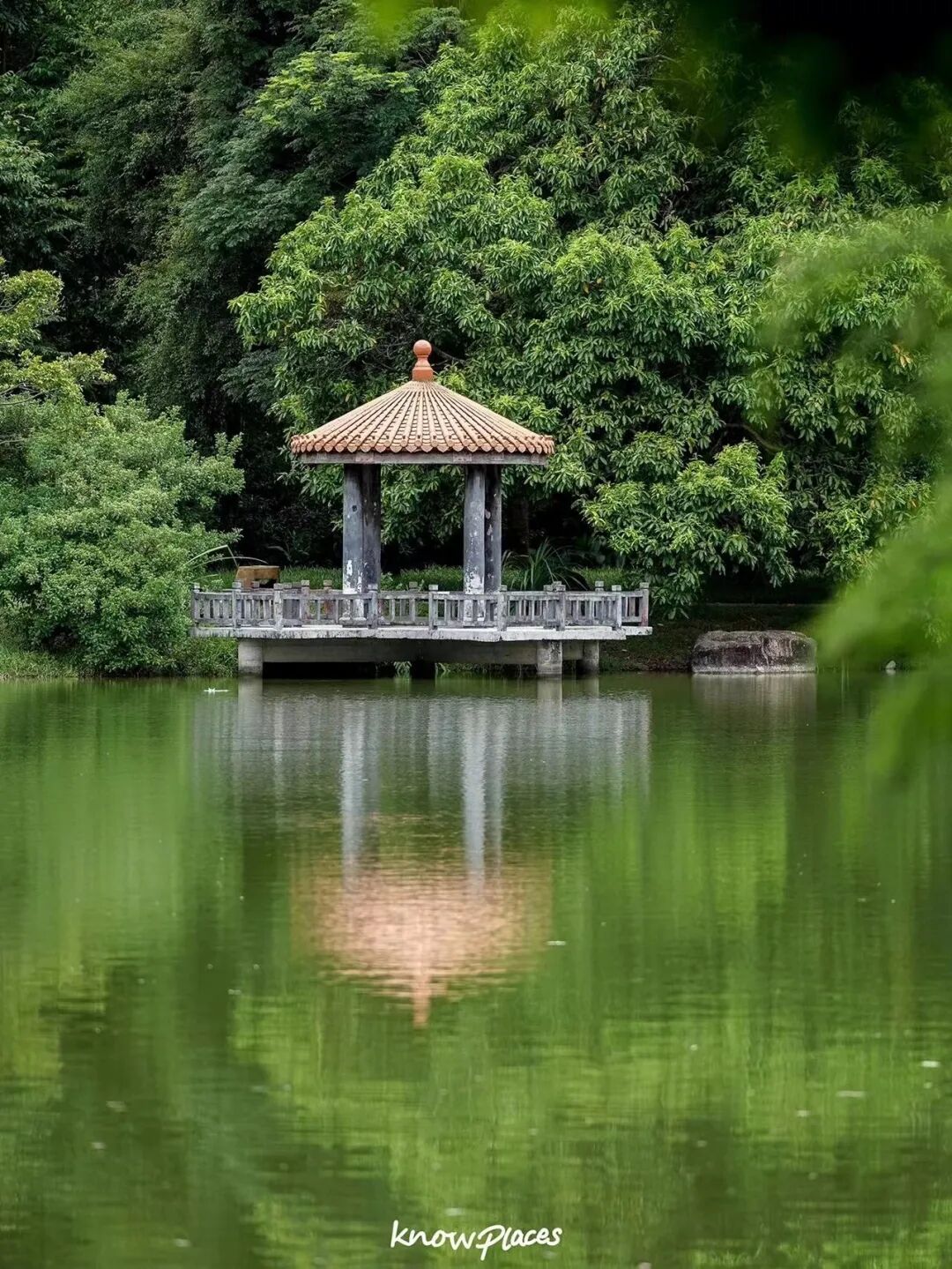 比厦门悠闲，美食不输扬州！初秋红叶漫天，谁不爱这座幸福感老城？