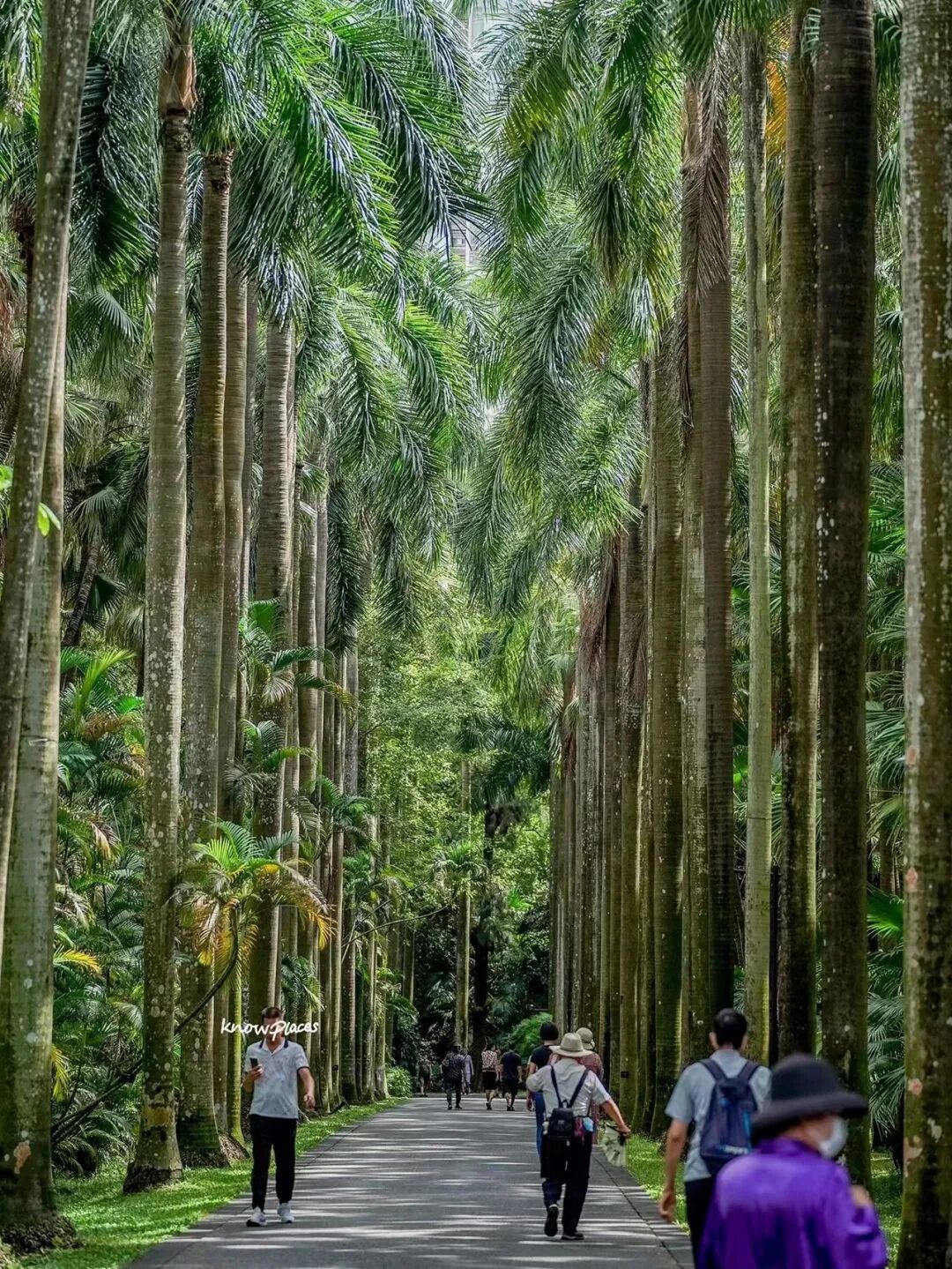 比厦门悠闲，美食不输扬州！初秋红叶漫天，谁不爱这座幸福感老城？