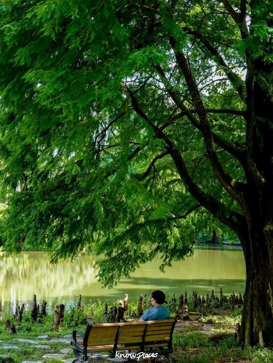 比厦门悠闲，美食不输扬州！初秋红叶漫天，谁不爱这座幸福感老城？