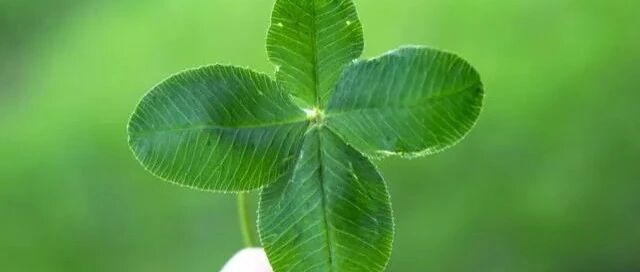 召唤幸運！12星座2022年必须做什么？