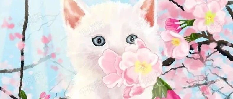 2021年十二星座桃花运最好的月份