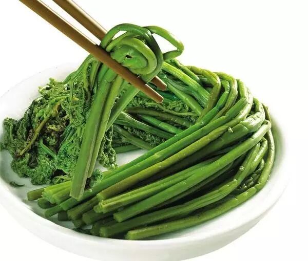 走摘野菜去恩施大山里常见的这种野菜竟价值120元公斤