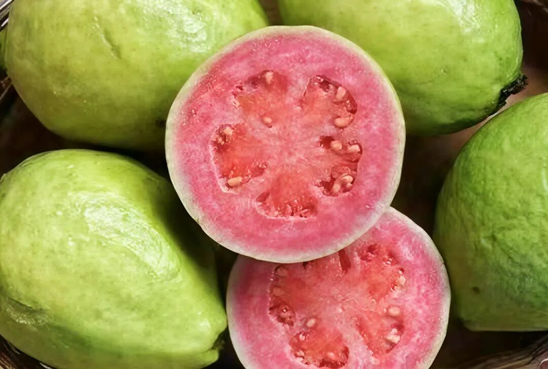 廉江红心番石榴。受访者供图