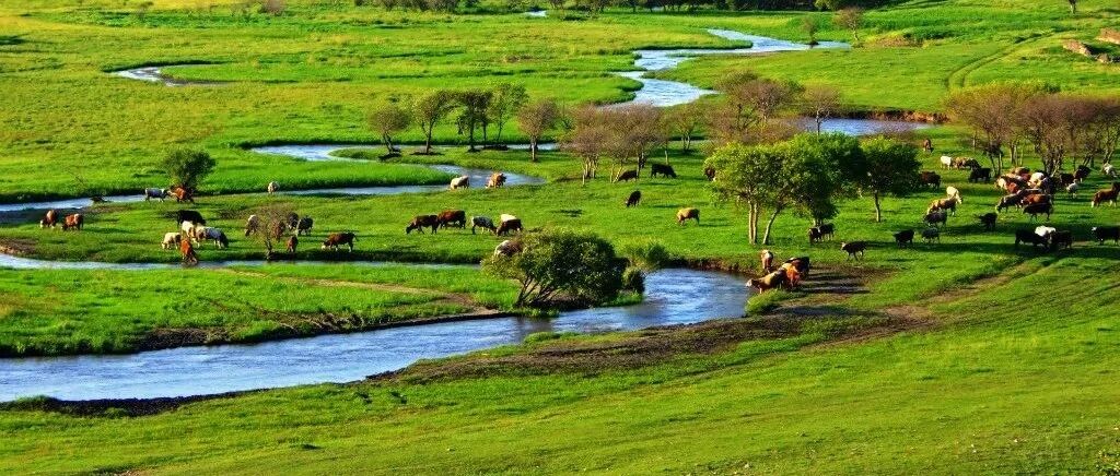 人均几十元起的暑假宝藏旅游，凉爽又养眼，第一个就超想去……