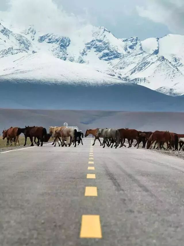 太美！春運回家路，有沒有你將要走的？！ 旅遊 第23張