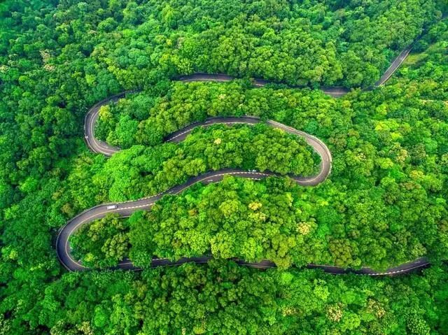 太美！春運回家路，有沒有你將要走的？！ 旅遊 第57張
