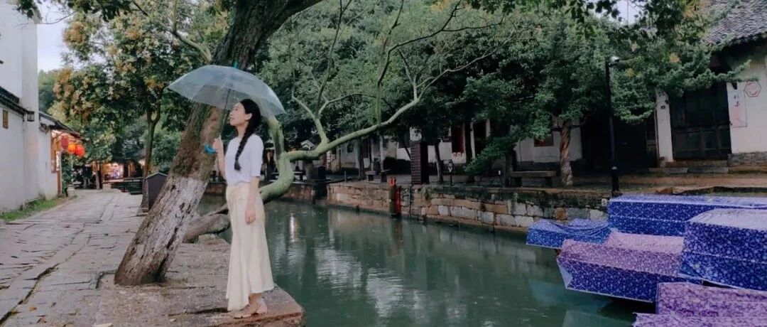 烟雨入姑苏，东山踏至同里的诗意之旅！
