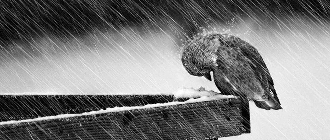 金三银四不再，游戏大厂不香了？