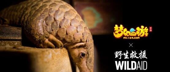 非议与窘境中的野生动物 这款经典手游替它们讲出了心里话