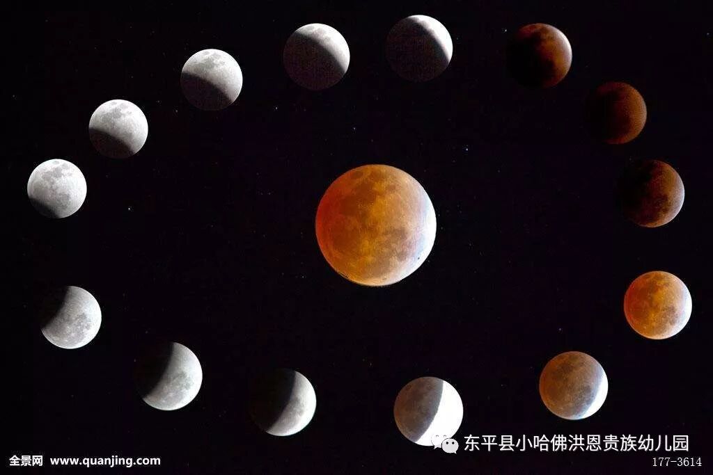 天文知识 月相的变化规律 东平县小哈佛洪恩贵族幼儿园 微信公众号文章阅读 Wemp