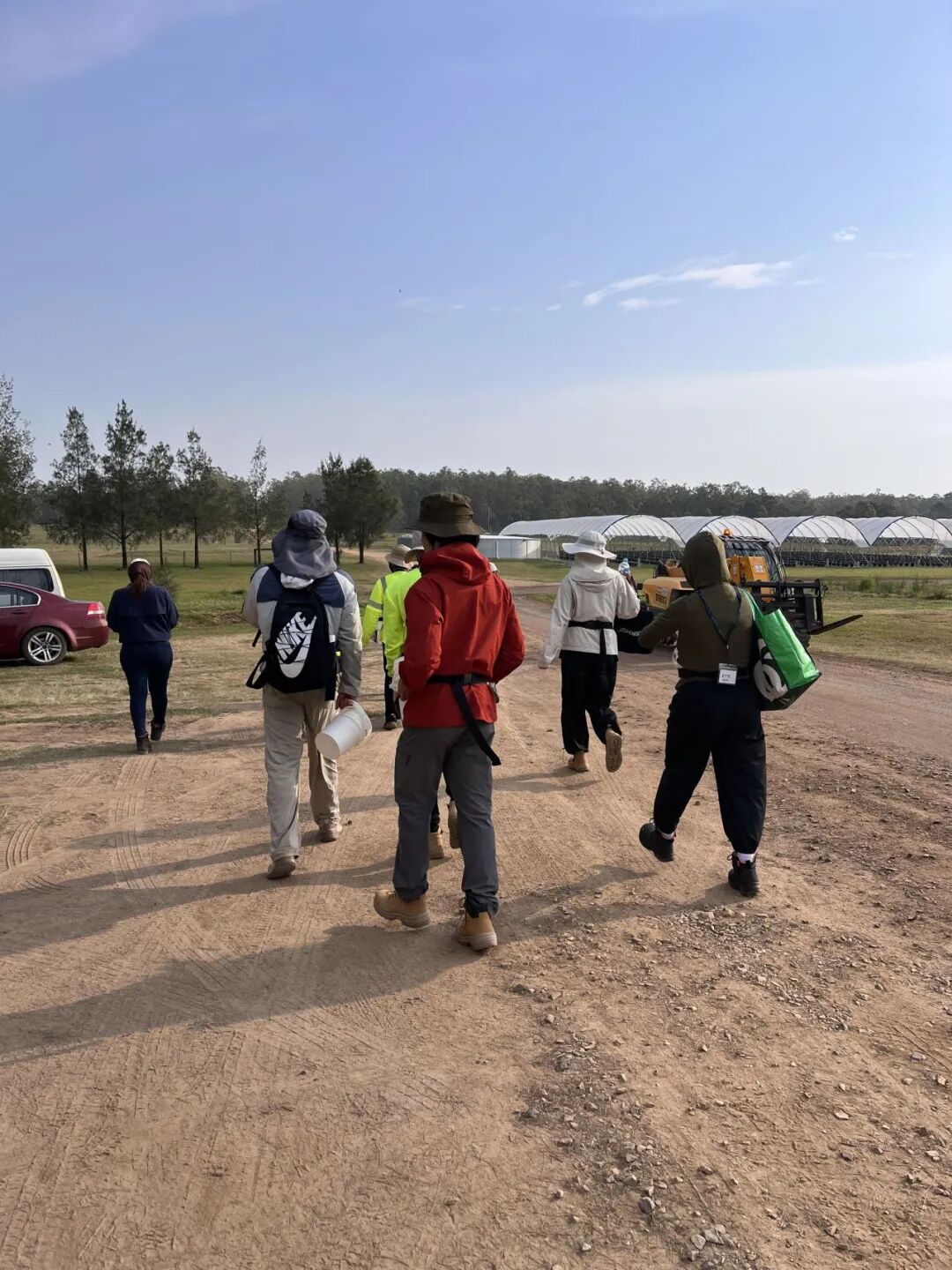 蓝莓农场采摘现场，与陆皓月和陈青青一同工作的年轻人来自不同国家和地区。受访者供图。