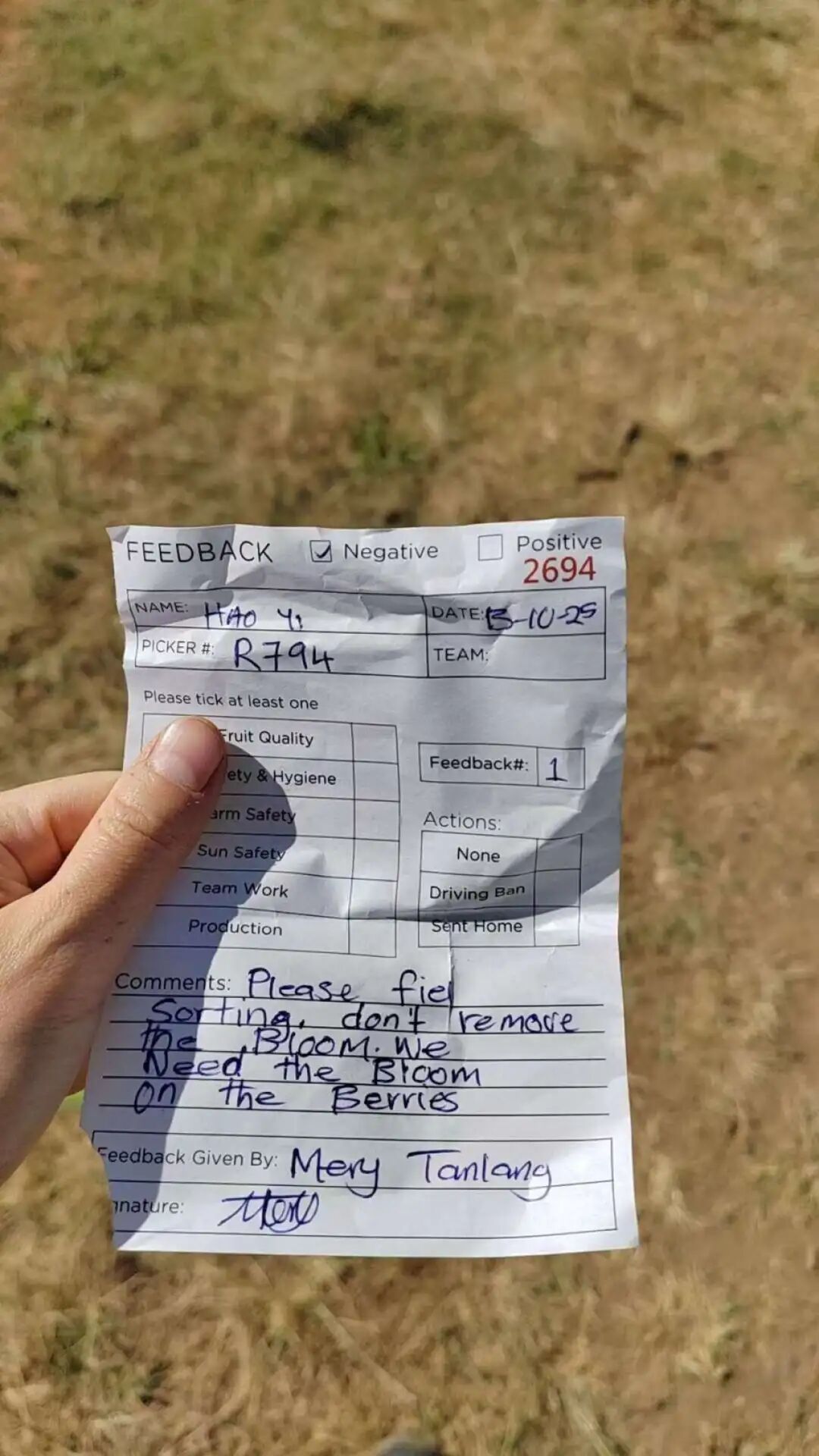 陆皓月被解雇当天收到的“蓝山”蓝莓农场罚单，罚单理由为蓝莓采摘质量不合格（过软，too soft）。 受访者供图。