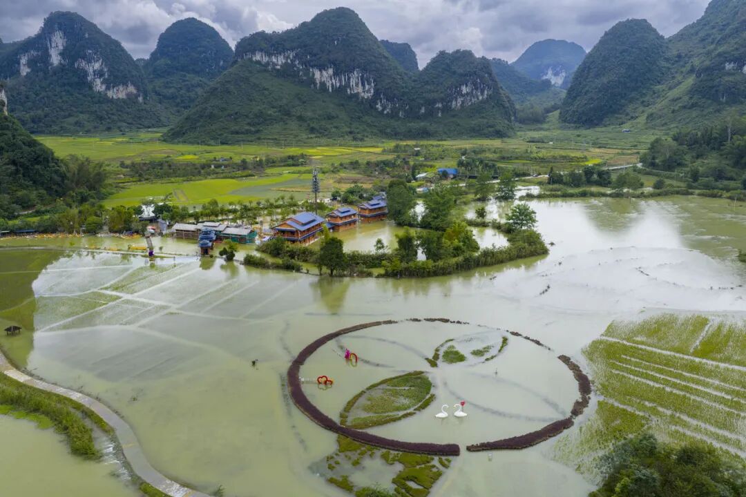 2025年10月1日，受台风“博罗依”影响，靖西市多地发生严重内涝，农田、景区受损巨大。视觉中国图