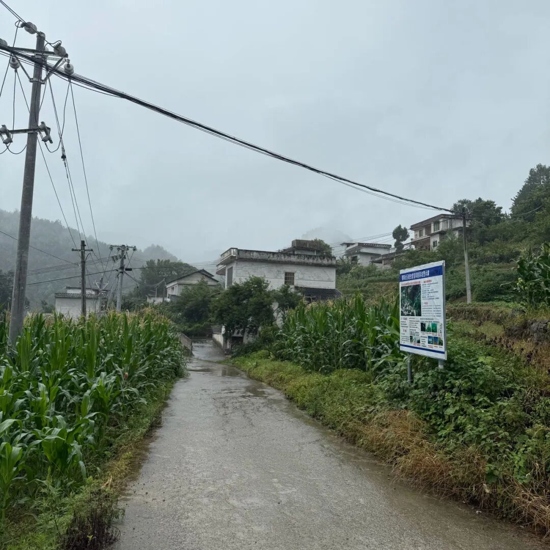 2025年6月，刘某杰家所在的村子。（彭丽 / 摄)