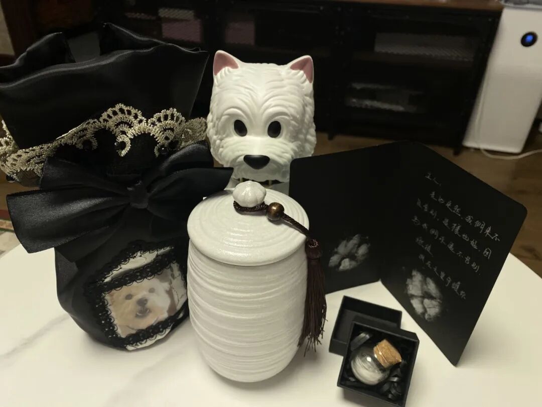 李依涵（化名）为宠物狗Papi布置的纪念角落。受访者供图