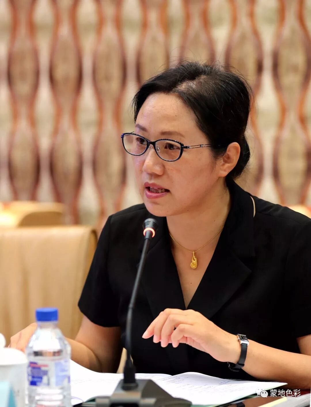 蒙古语在线翻译_翻译蒙在线翻译免费_蒙的文言文翻译