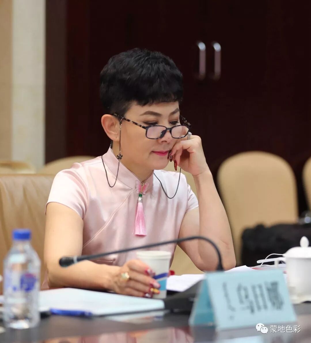 蒙古语在线翻译_蒙的文言文翻译_翻译蒙在线翻译免费