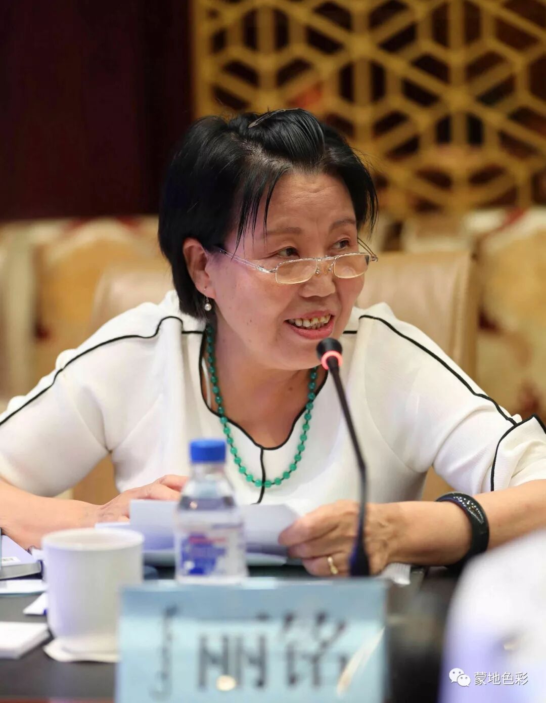 翻译蒙在线翻译免费_蒙古语在线翻译_蒙的文言文翻译