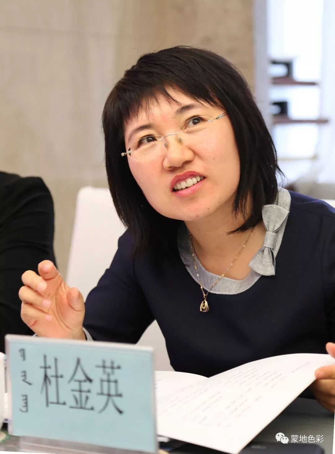 蒙翻译汉_蒙的文言文翻译_蒙古语在线翻译