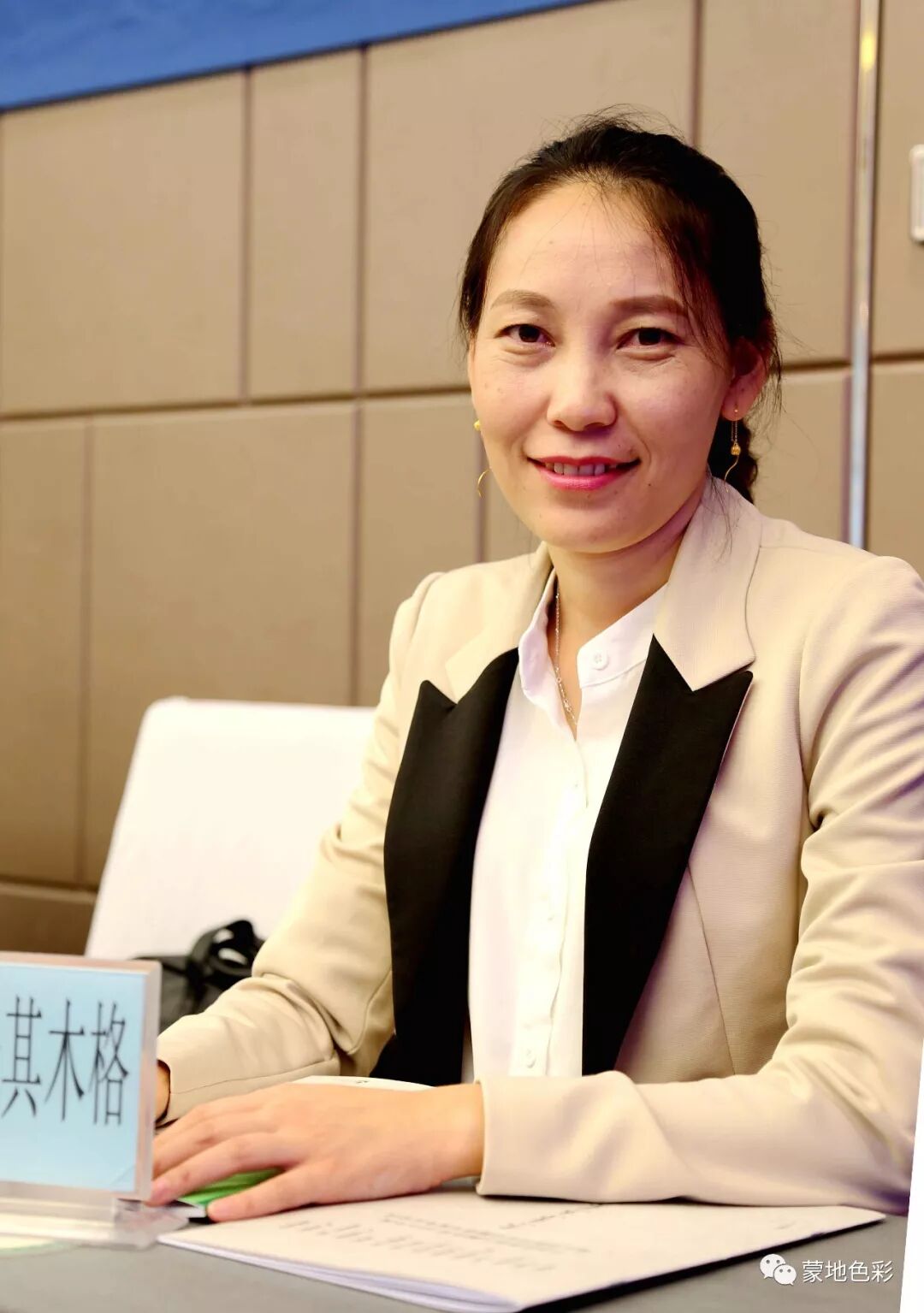 蒙翻译汉_蒙的文言文翻译_蒙古语在线翻译