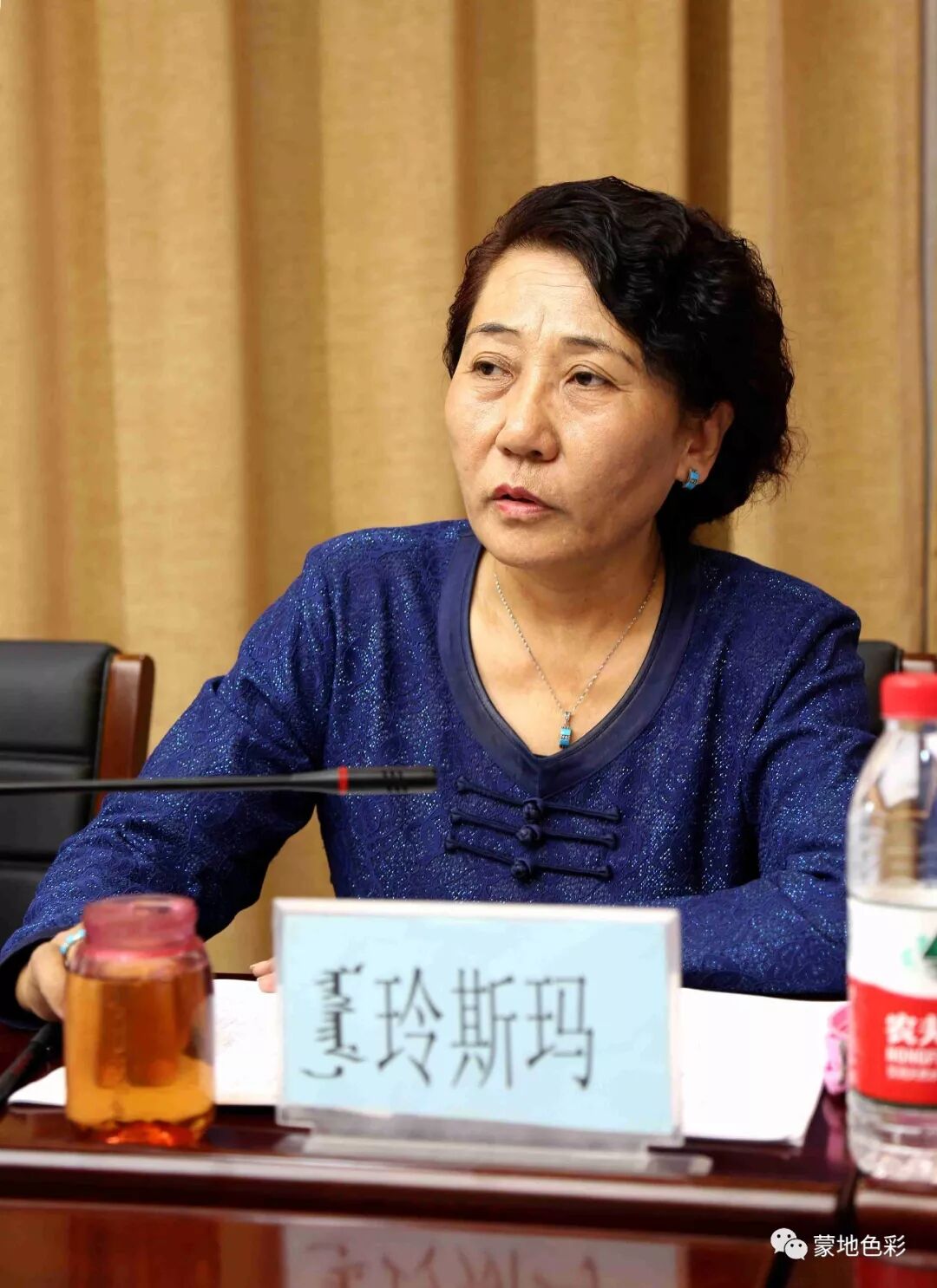 蒙的文言文翻译_蒙翻译汉_蒙古语在线翻译