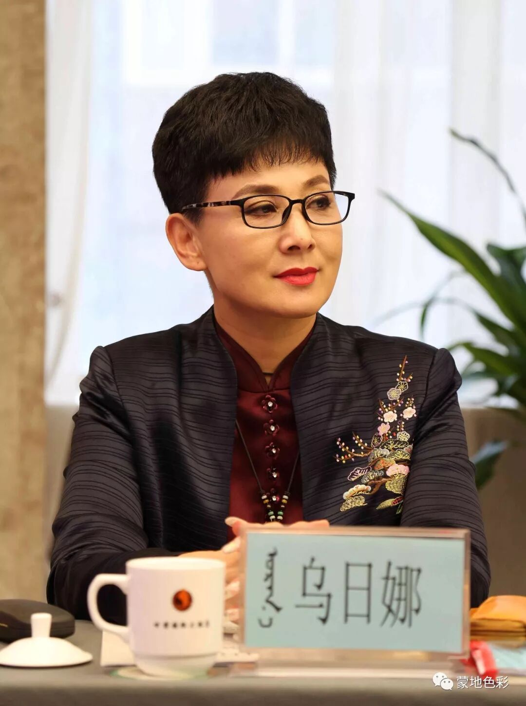 蒙翻译汉_蒙的文言文翻译_蒙古语在线翻译