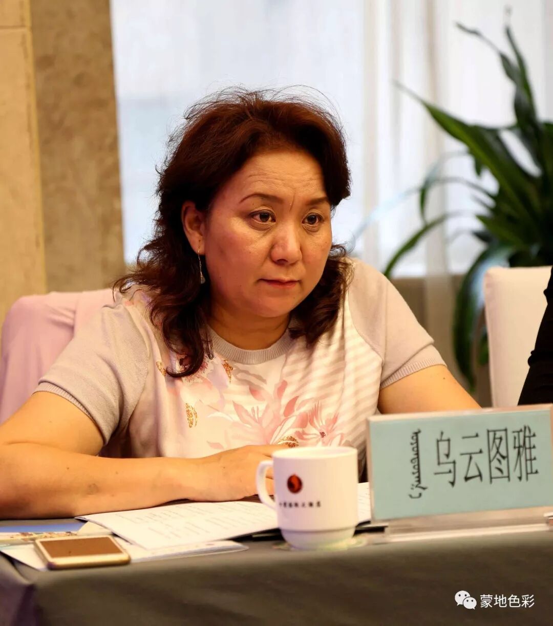 蒙的文言文翻译_蒙翻译汉_蒙古语在线翻译