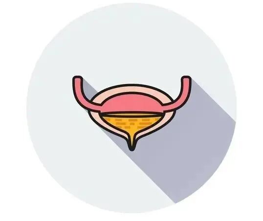 b膀胱镜为什么消毒小科普：膀胱镜检查，真那么可怕？_https://www.jmylbn.com_新闻资讯_第3张