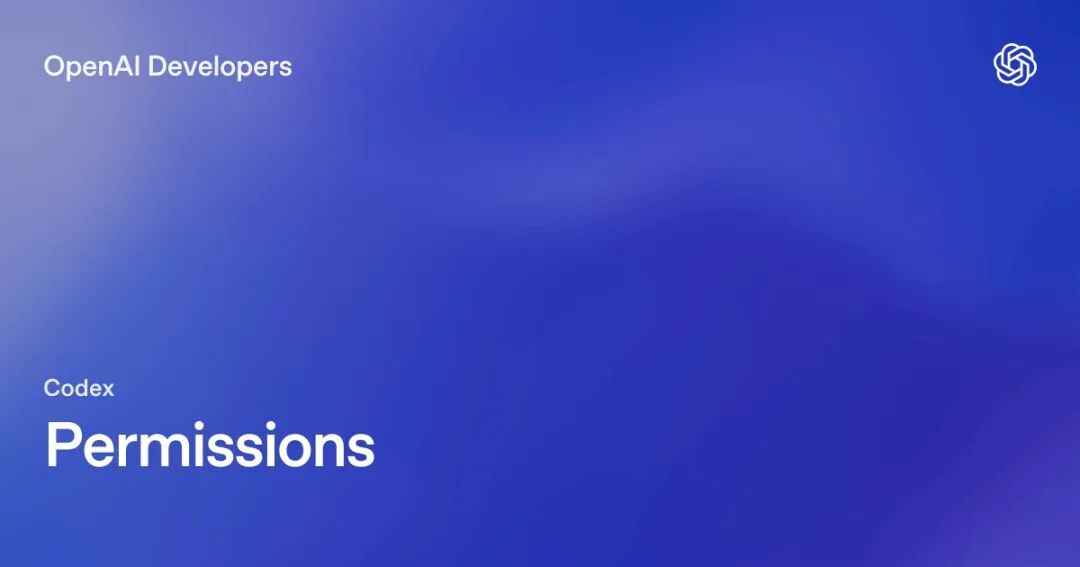 图注：OpenAI Developers 的 Codex Permissions 文档卡片