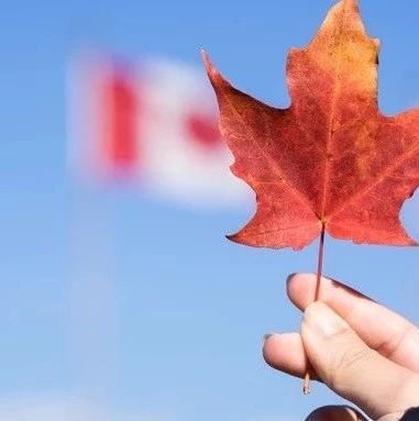 近期针对加拿大移民签证相关问题的特殊政策