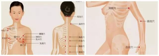 【母乳喂养】奶水不足？手法实操+配合食疗法，奶水井喷！  产后母乳妈妈没奶水？怎么办？您会最基本的中医催乳知识吗？您懂乳房按摩实操手法吗？宝妈出现奶水不足，您能辩证分析吗？您知道如何利用食疗法，帮助产(图12)