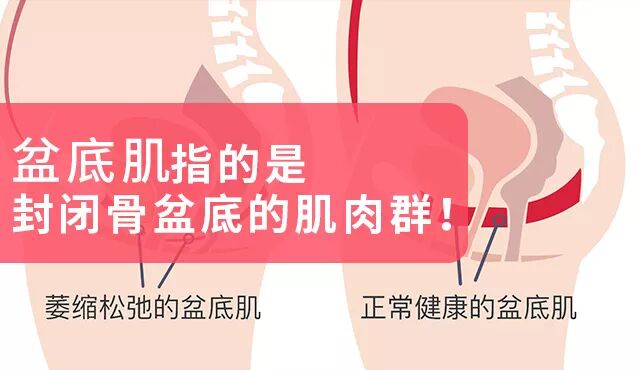 满月发汗、骨盆修复、盆底肌修复，产后女人一定要做？真相是..