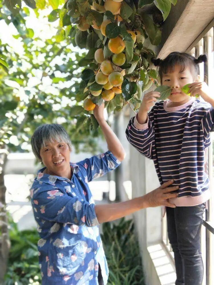 ���ϼ��������ˣ�����ɱ�ޡ�